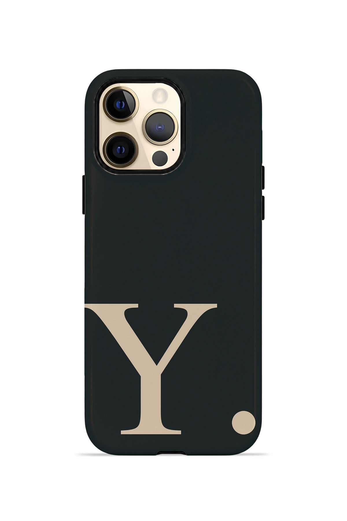 iPhone 12 Pro Max Vorian Noir Beige Y - Ana