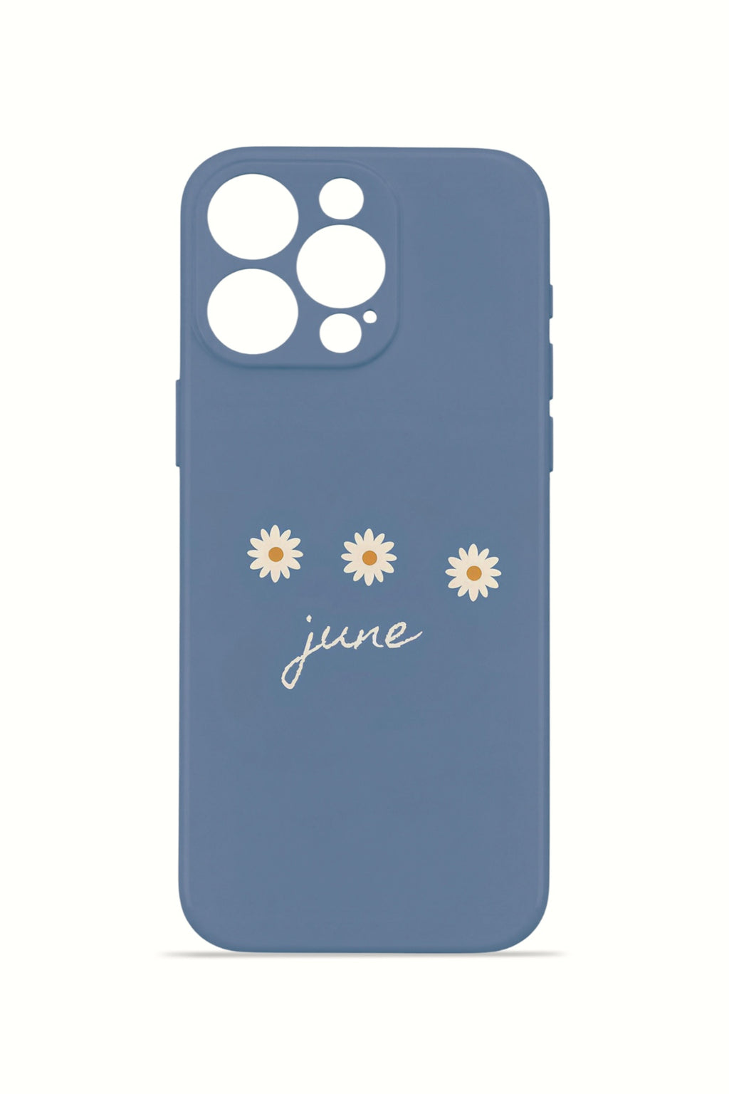 iPhone 16 Pro Valestra İnce Kamera Korumalı Mika Kılıf June Daisy Blue