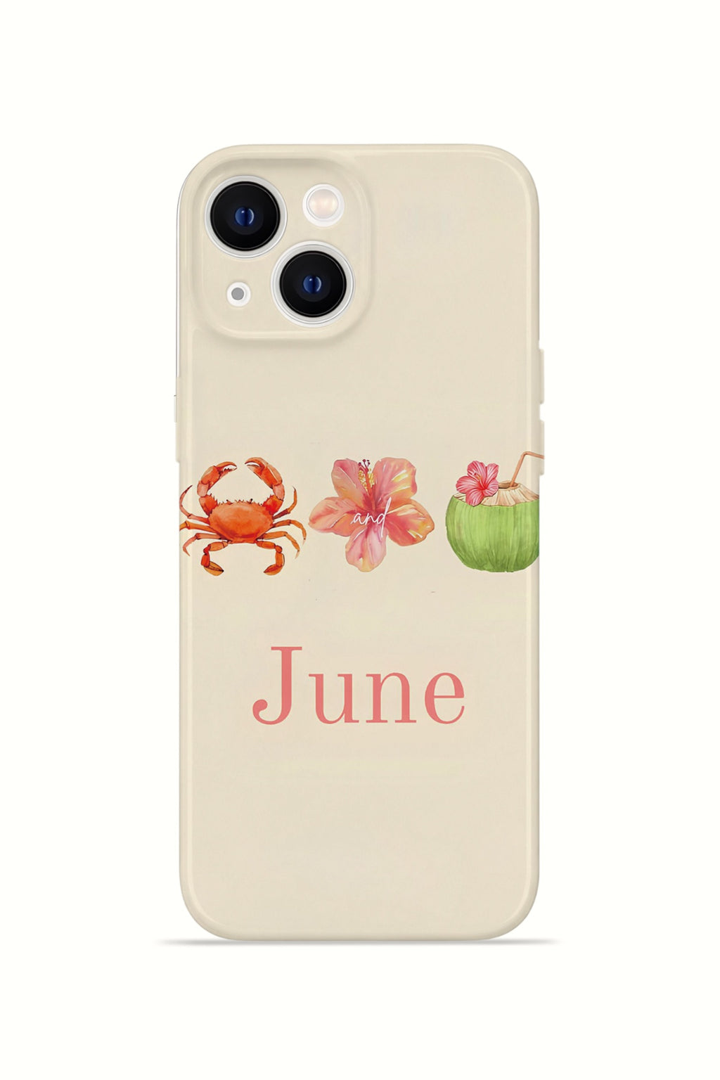 iPhone 13 Valestra İnce Kamera Korumalı Mika Kılıf June Seaside