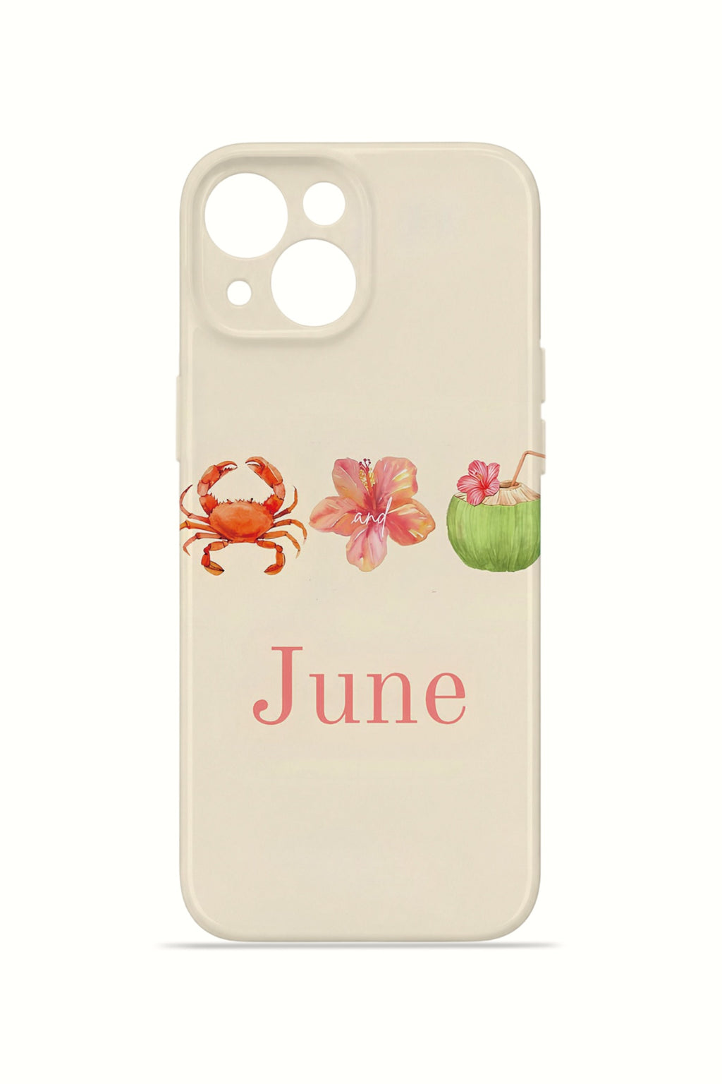 iPhone 13 Valestra İnce Kamera Korumalı Mika Kılıf June Seaside