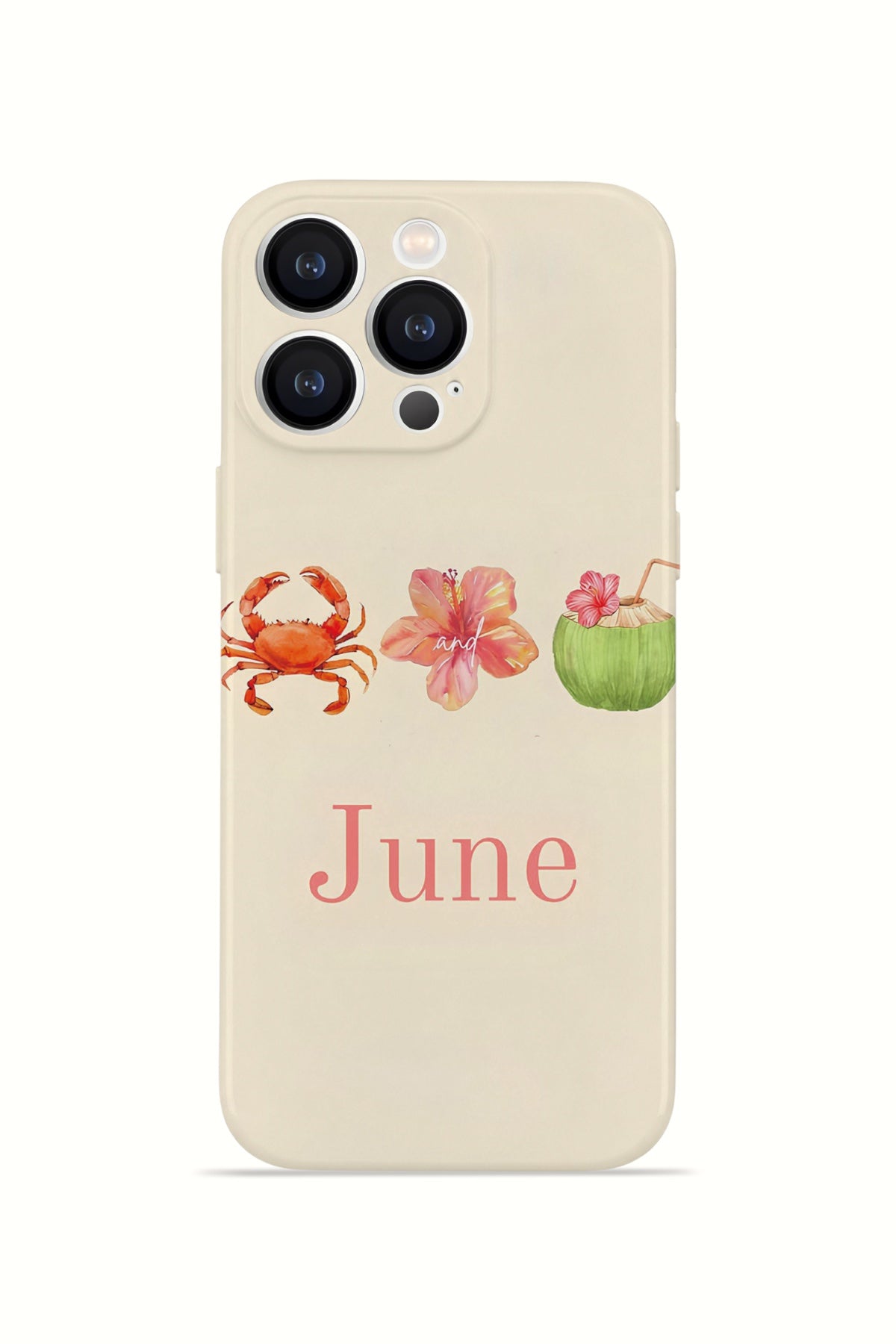 iPhone 12 Pro Valestra İnce Kamera Korumalı Mika Kılıf June Seaside