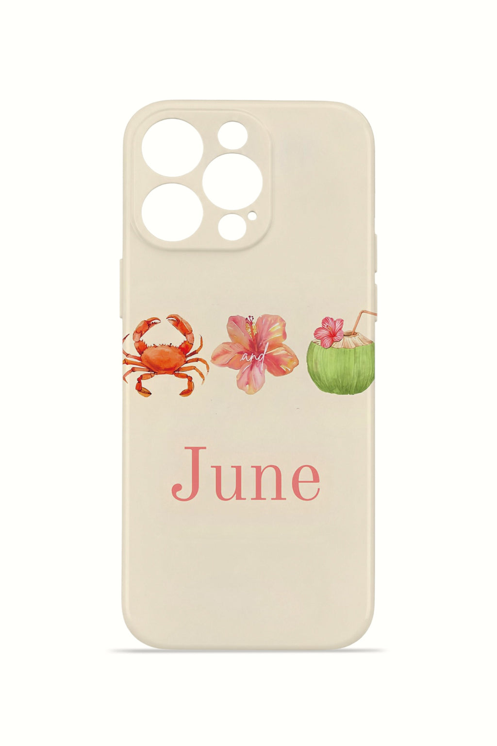 iPhone 13 Pro Max Valestra İnce Kamera Korumalı Mika Kılıf June Seaside