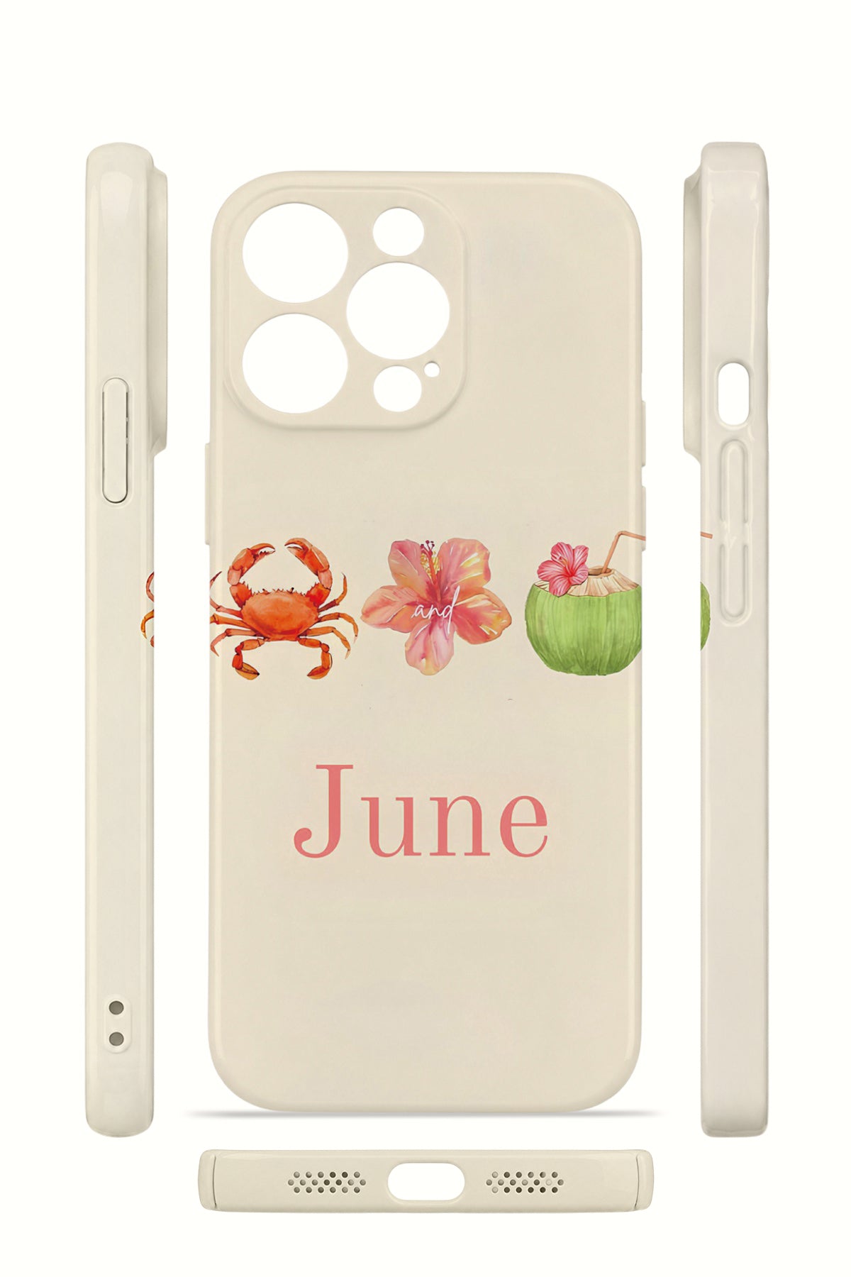 iPhone 12 Pro Valestra İnce Kamera Korumalı Mika Kılıf June Seaside