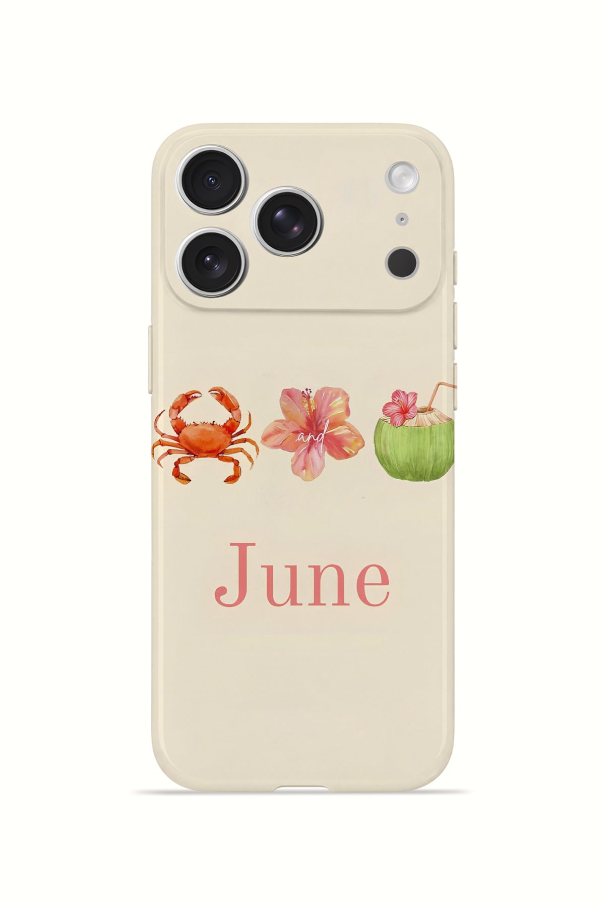 iPhone 17 Pro Valestra İnce Kamera Korumalı Mika Kılıf June Seaside