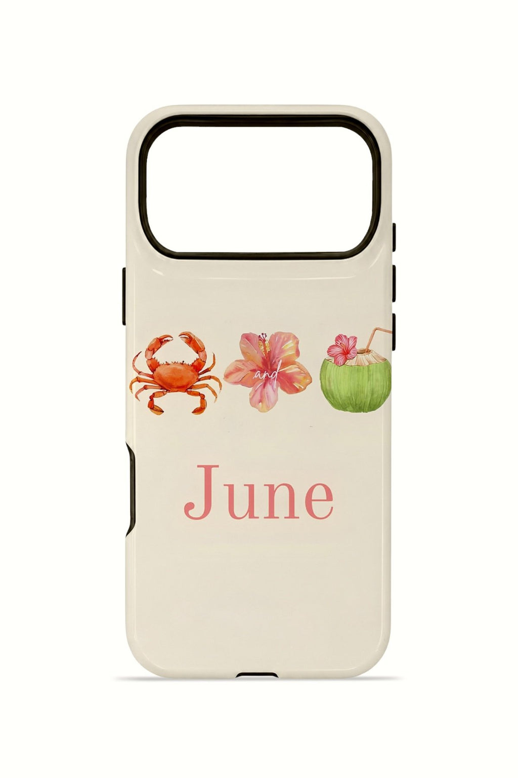 iPhone 17 Pro Max Vorian Çift Katmanlı Kılıf June Seaside