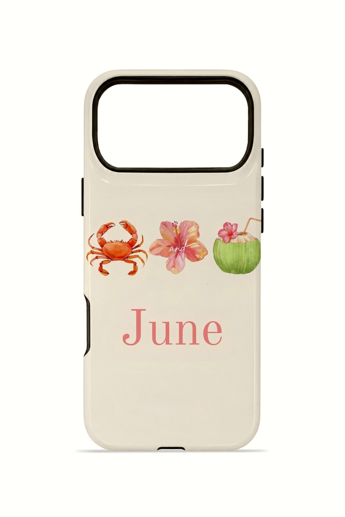 iPhone 17 Pro Max Vorian Çift Katmanlı Kılıf June Seaside