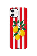 iPhone 12 Vorian Çift Katmanlı Kılıf Lemon Parade Red