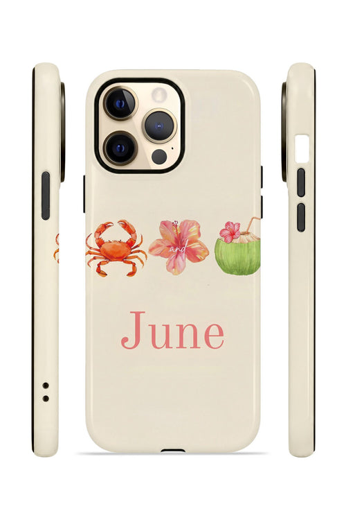 iPhone 12 Pro Max Vorian Çift Katmanlı Kılıf June Seaside
