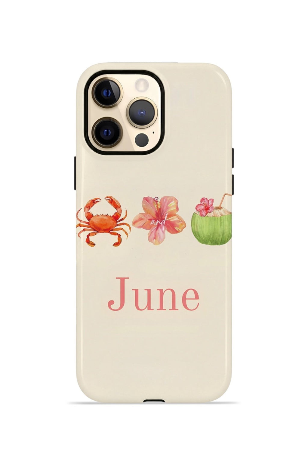 iPhone 12 Pro Max Vorian Çift Katmanlı Kılıf June Seaside