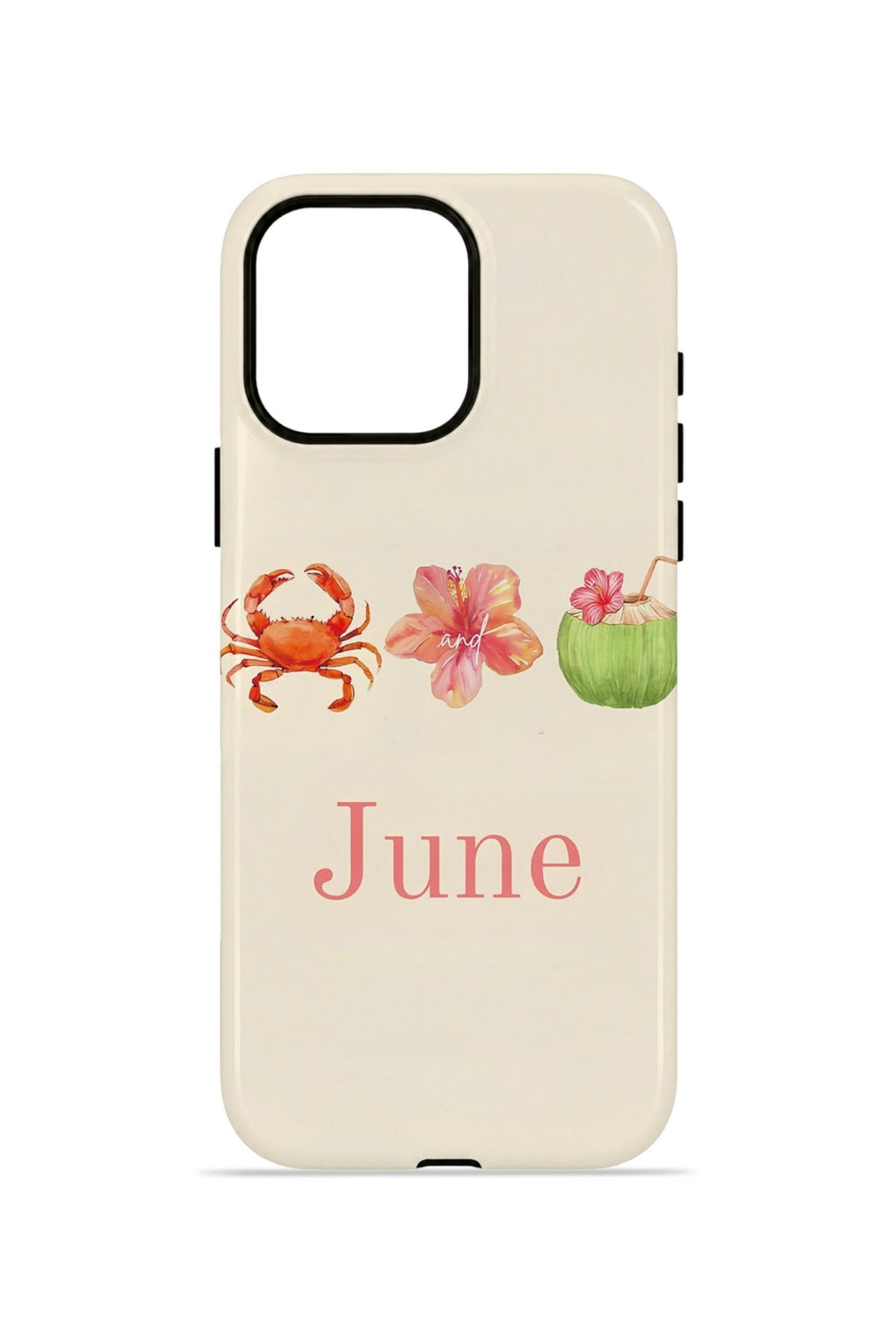 iPhone 15 Pro Vorian Çift Katmanlı MagSafe Kılıf June Seaside