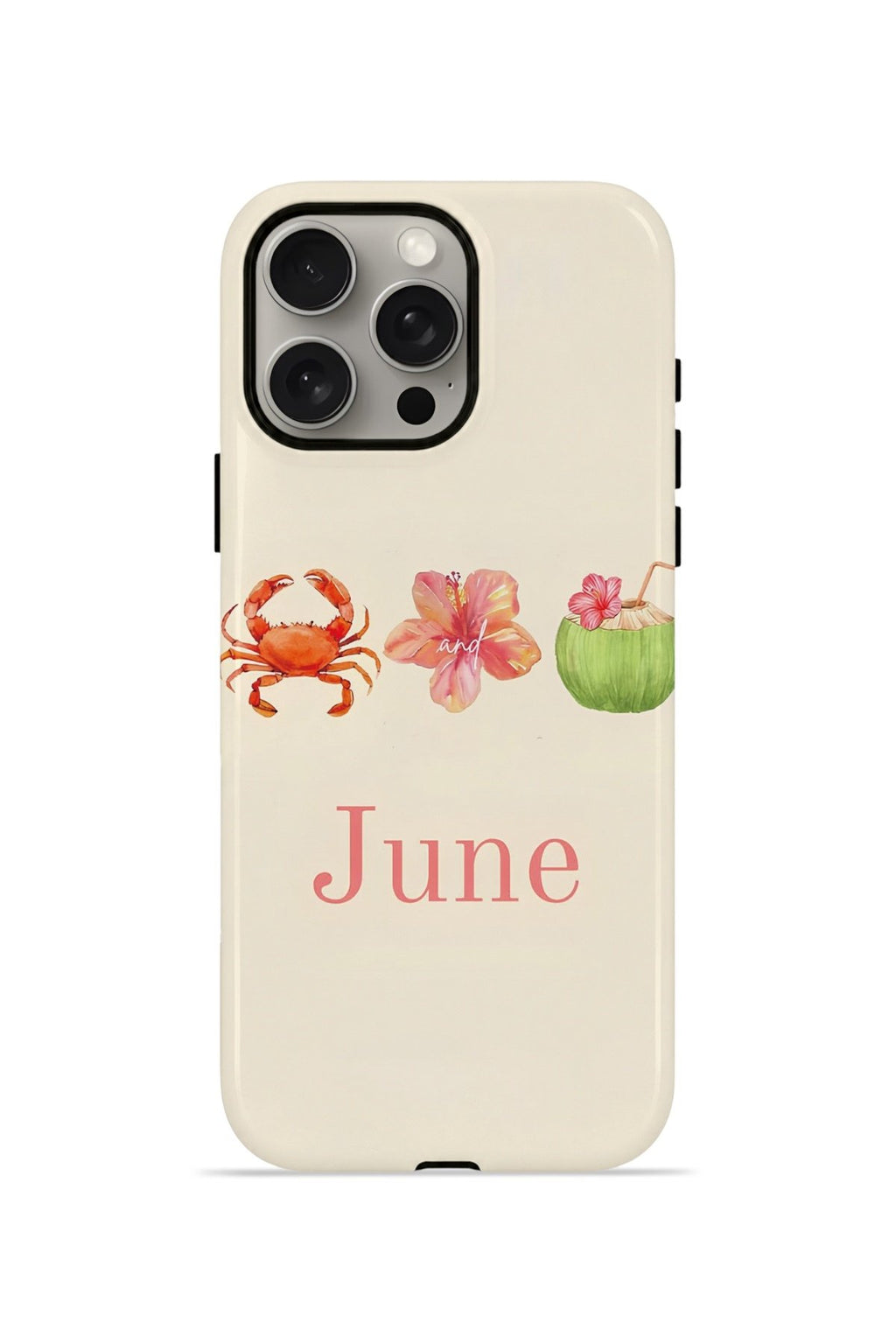 iPhone 15 Pro Max Vorian Çift Katmanlı Kılıf June Seaside