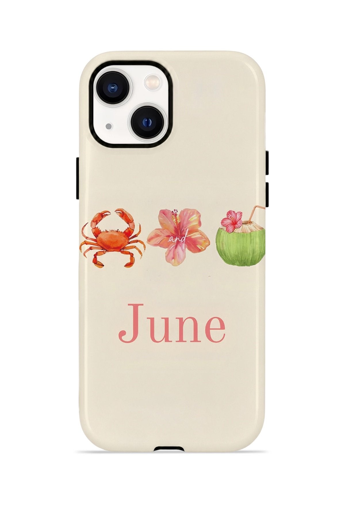 iPhone 15 Vorian Çift Katmanlı MagSafe Kılıf June Seaside
