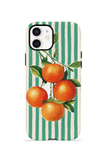 iPhone 12 Vorian Çift Katmanlı Kılıf Italian Orange Orchard