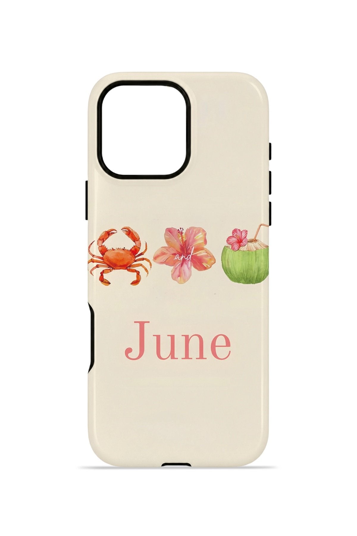 iPhone 16 Pro Max Vorian Çift Katmanlı Kılıf June Seaside