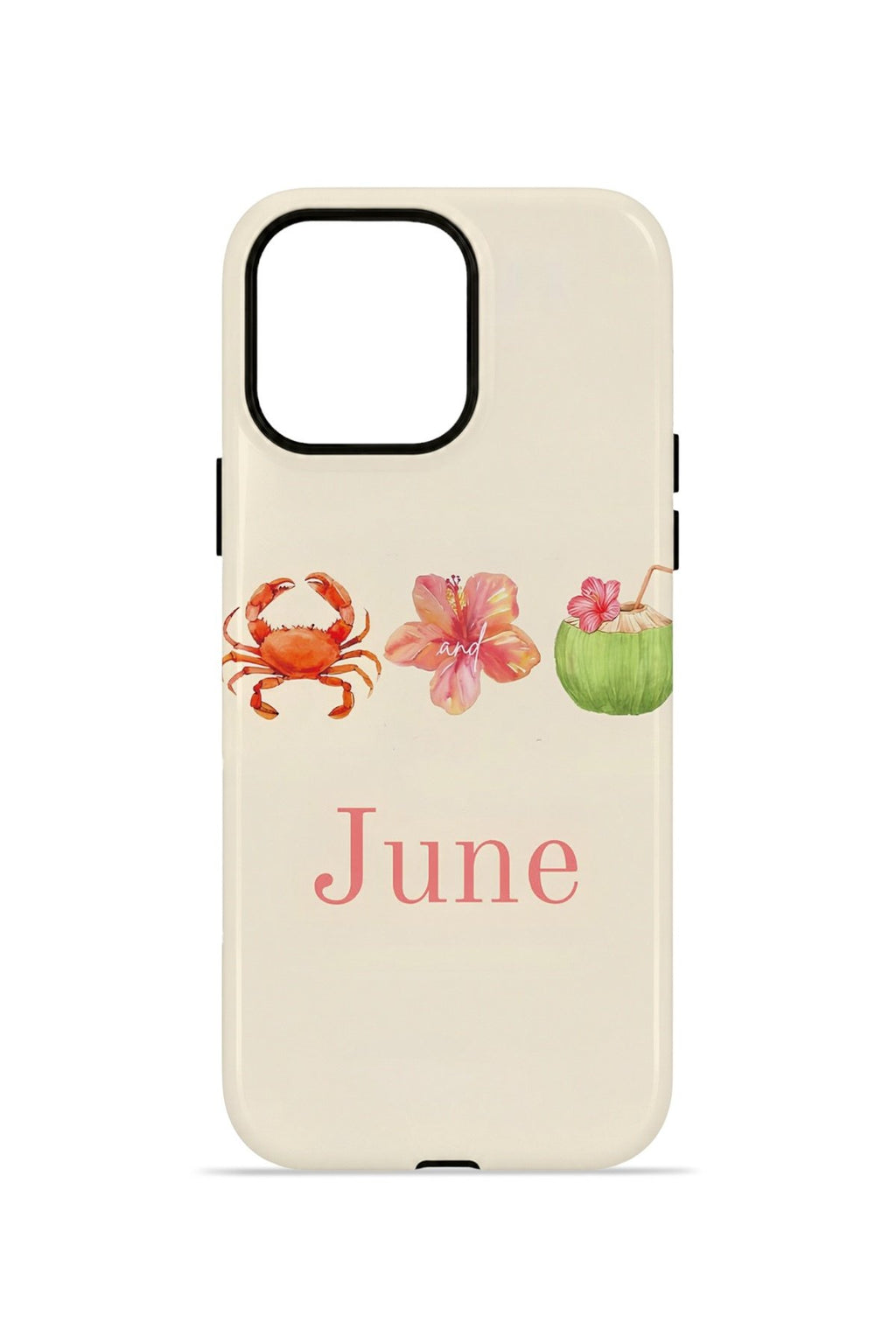 iPhone 14 Pro Vorian Çift Katmanlı Kılıf June Seaside