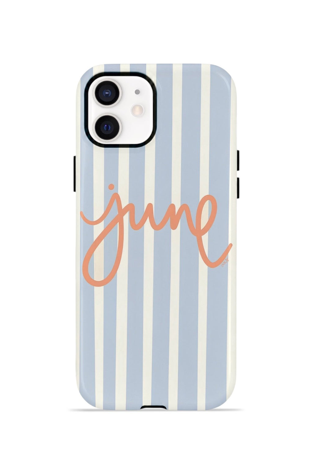 iPhone 11 Vorian Çift Katmanlı Kılıf June Riviera
