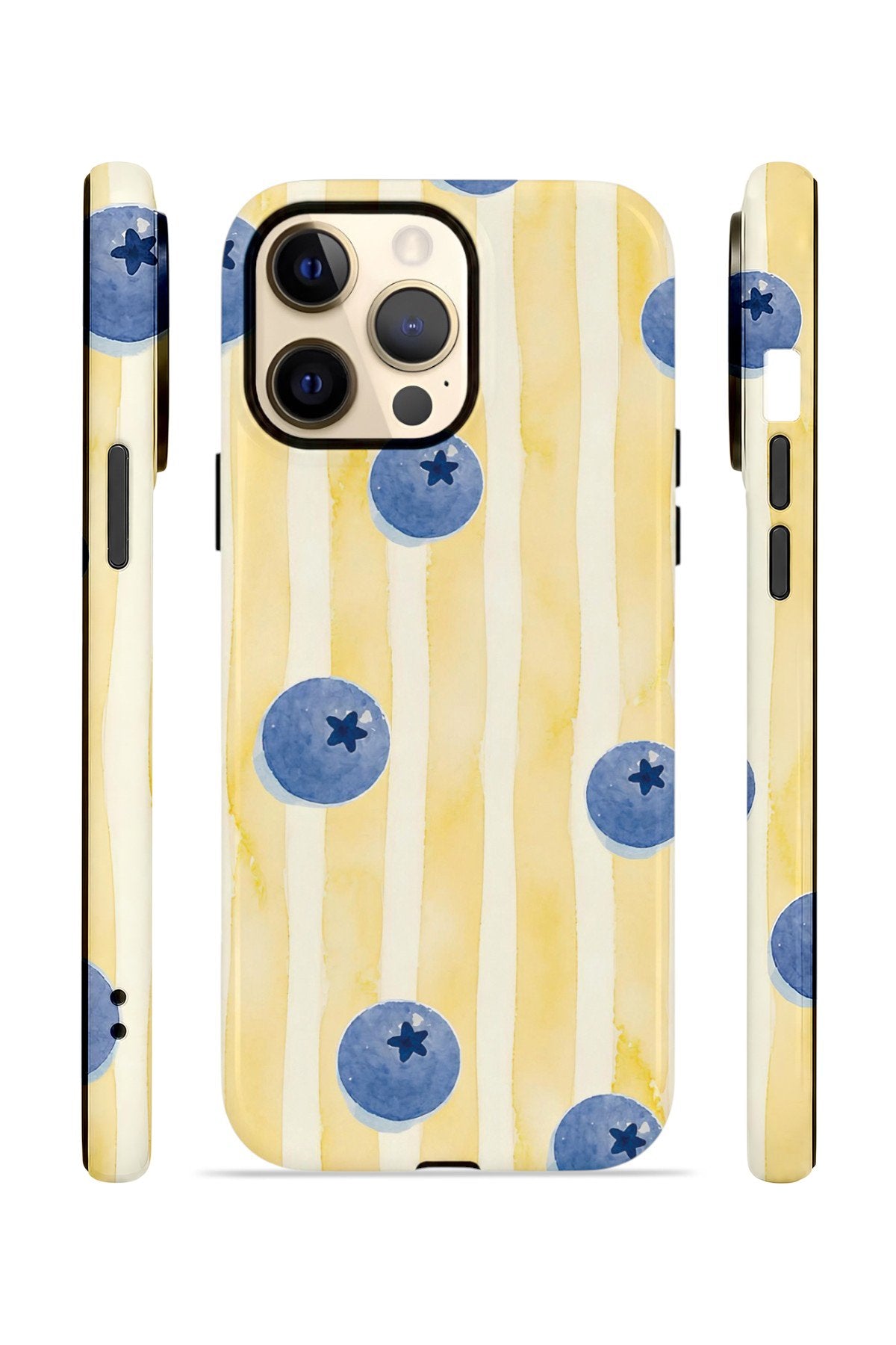iPhone 14 Pro Vorian Çift Katmanlı MagSafe Kılıf Blueberry Sun Stripe