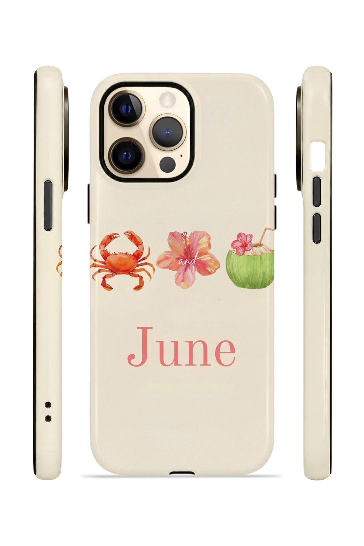 iPhone 14 Pro Vorian Çift Katmanlı Kılıf June Seaside
