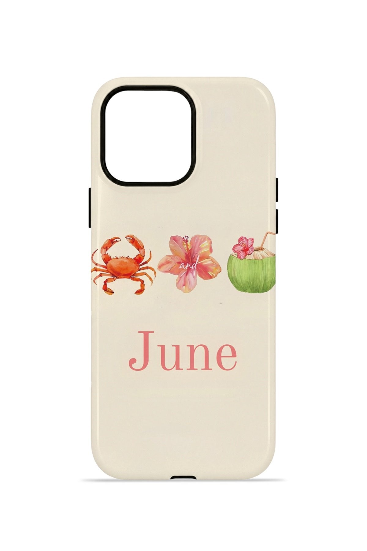 iPhone 13 Pro Max Vorian Çift Katmanlı Kılıf June Seaside