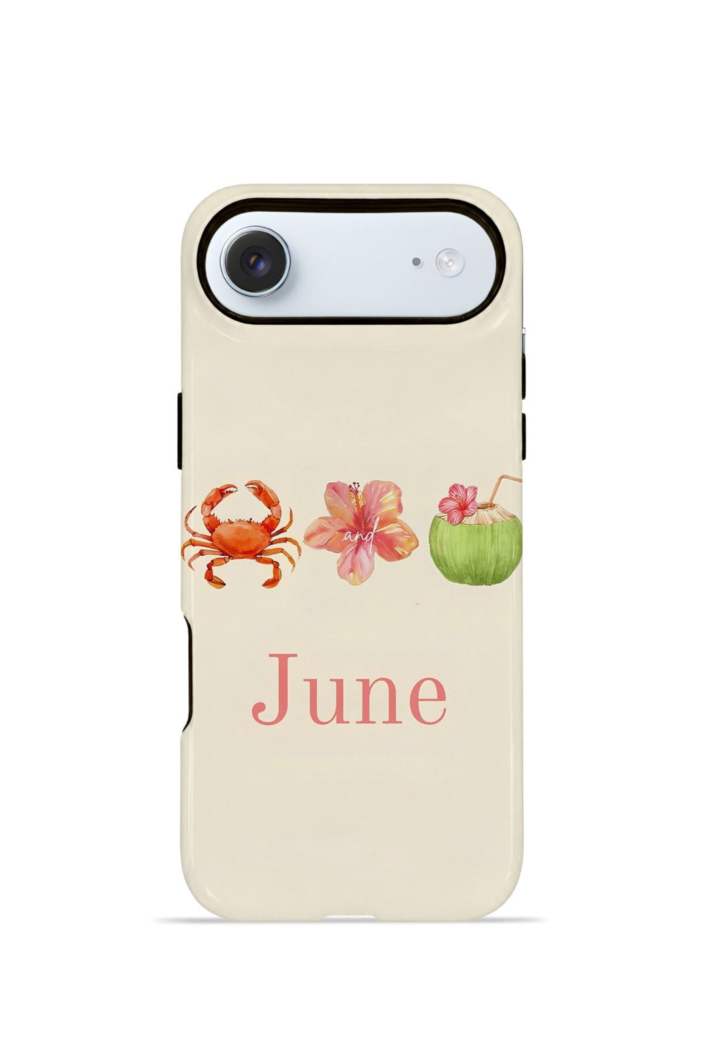 iPhone 17 Air Vorian Çift Katmanlı Kılıf June Seaside