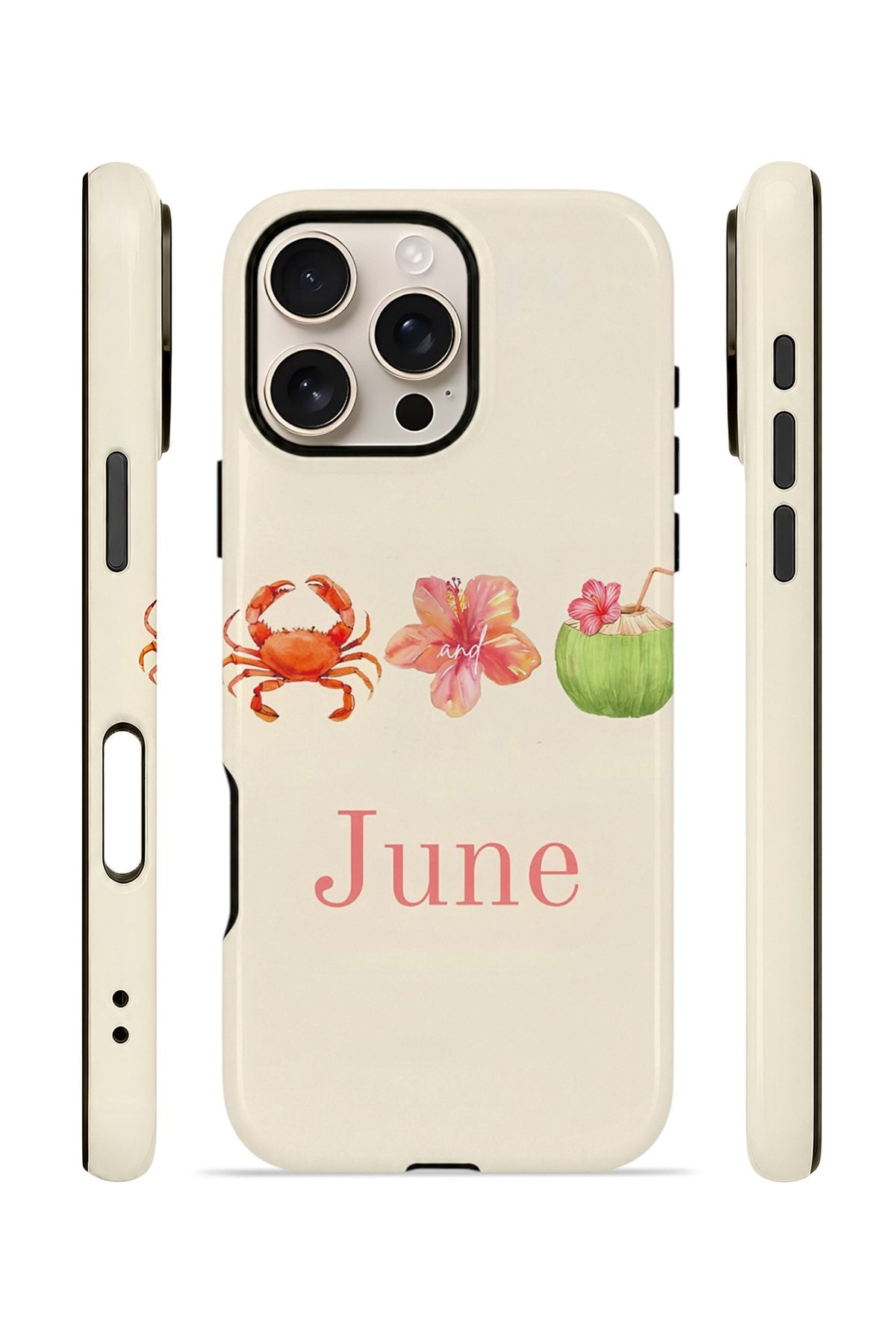 iPhone 16 Pro Vorian Çift Katmanlı Kılıf June Seaside