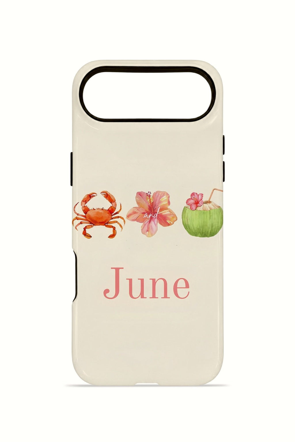 iPhone 17 Air Vorian Çift Katmanlı MagSafe Kılıf June Seaside