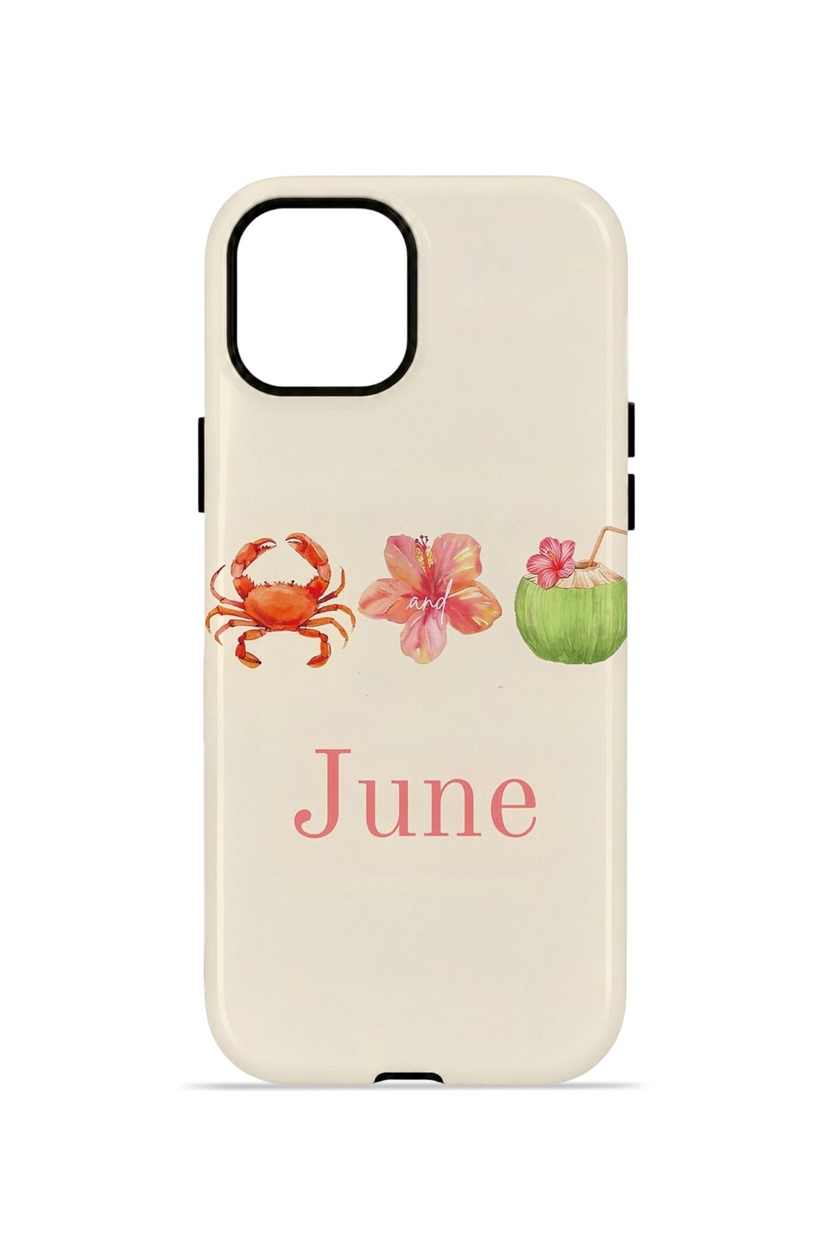 iPhone 15 Plus Vorian Çift Katmanlı Kılıf June Seaside