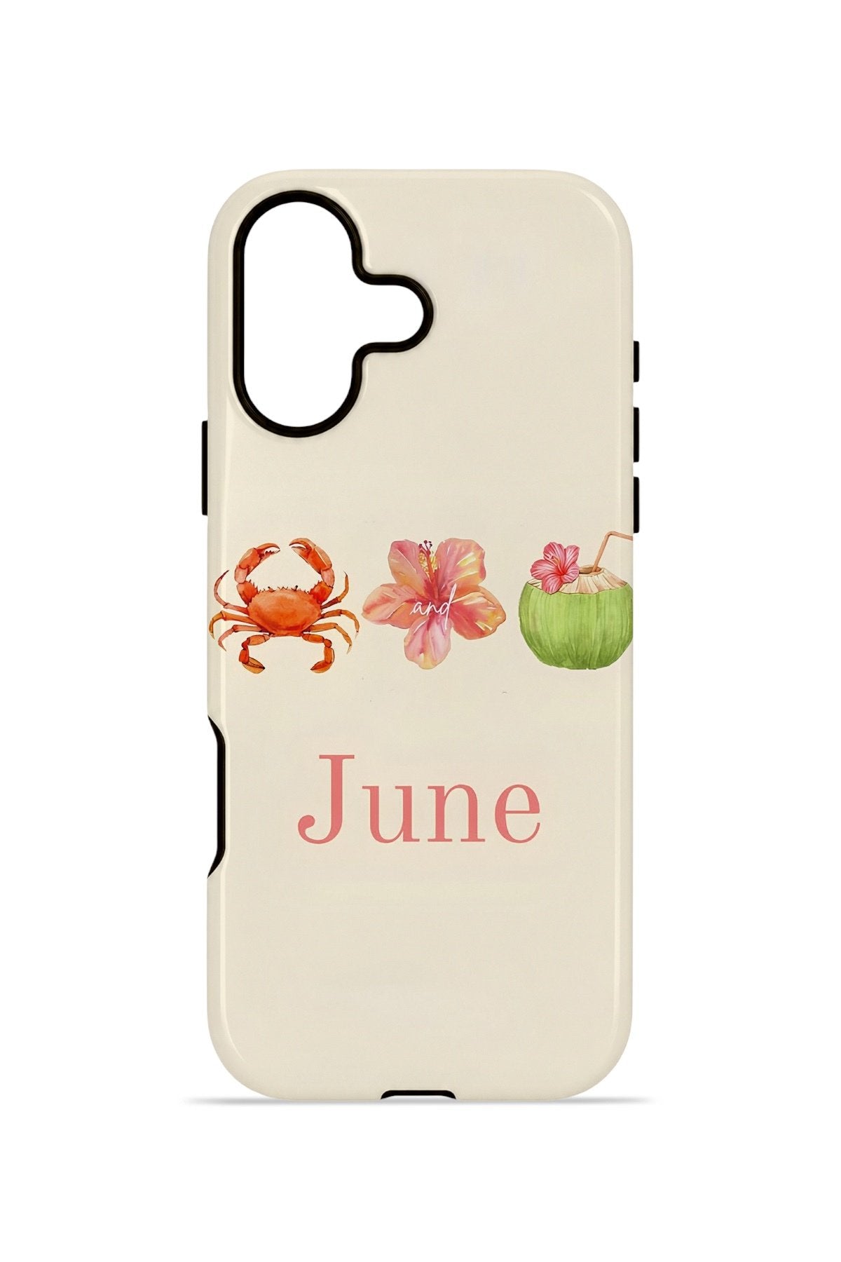 iPhone 16 Plus Vorian Çift Katmanlı MagSafe Kılıf June Seaside