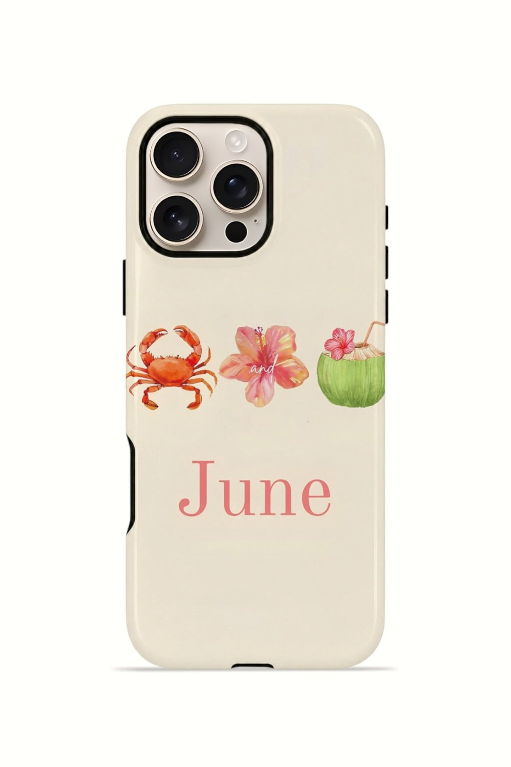 iPhone 16 Pro Vorian Çift Katmanlı Kılıf June Seaside