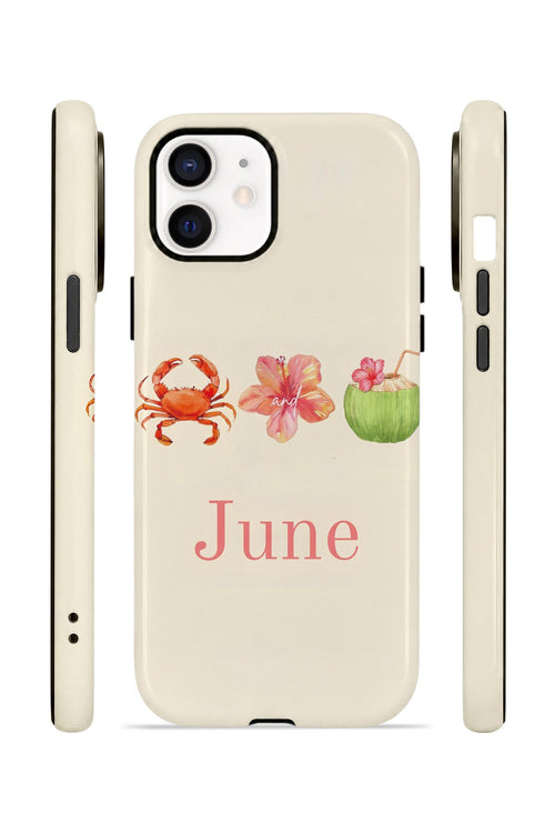 iPhone 11 Vorian Çift Katmanlı MagSafe Kılıf June Seaside