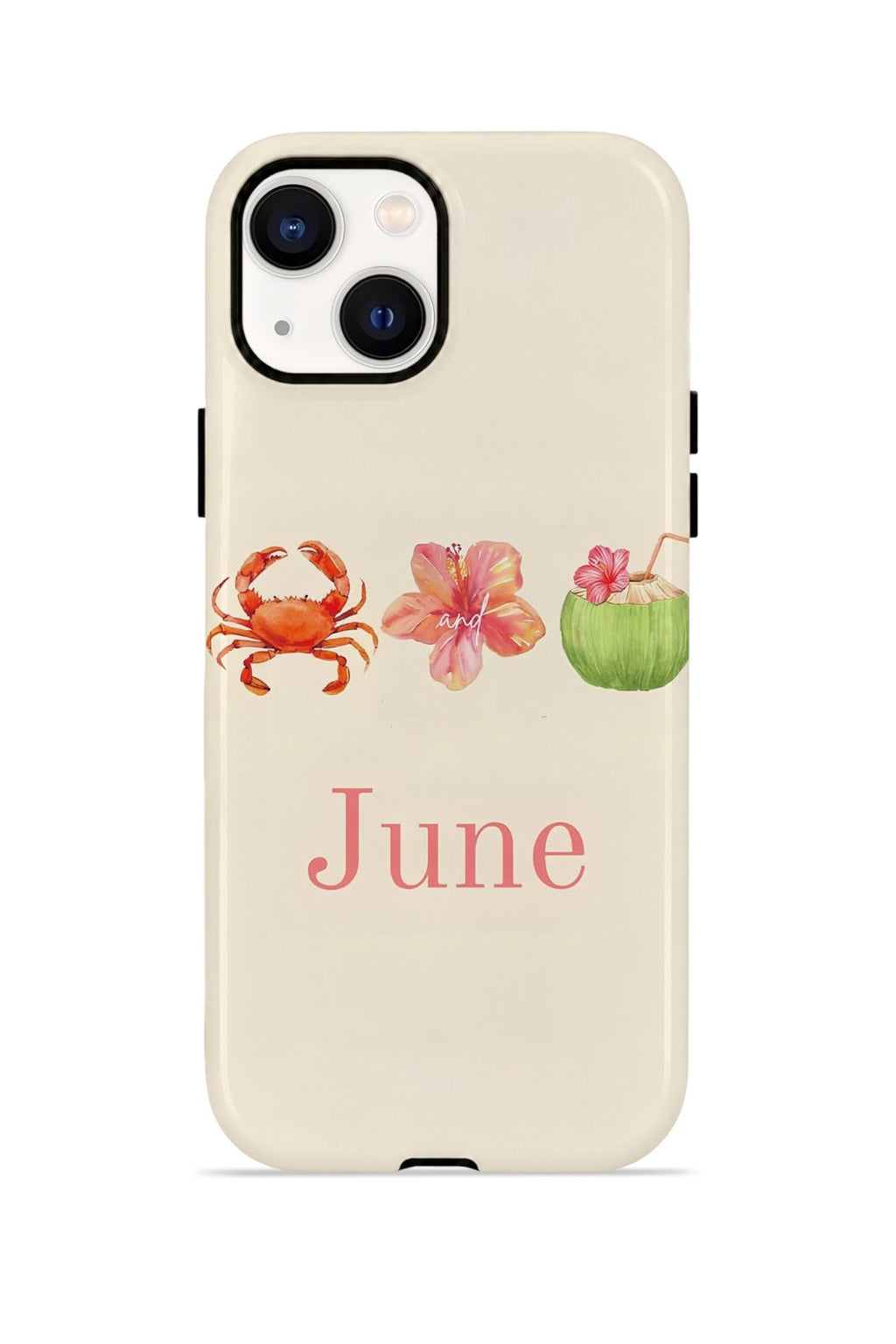 iPhone 14 Vorian Çift Katmanlı MagSafe Kılıf June Seaside