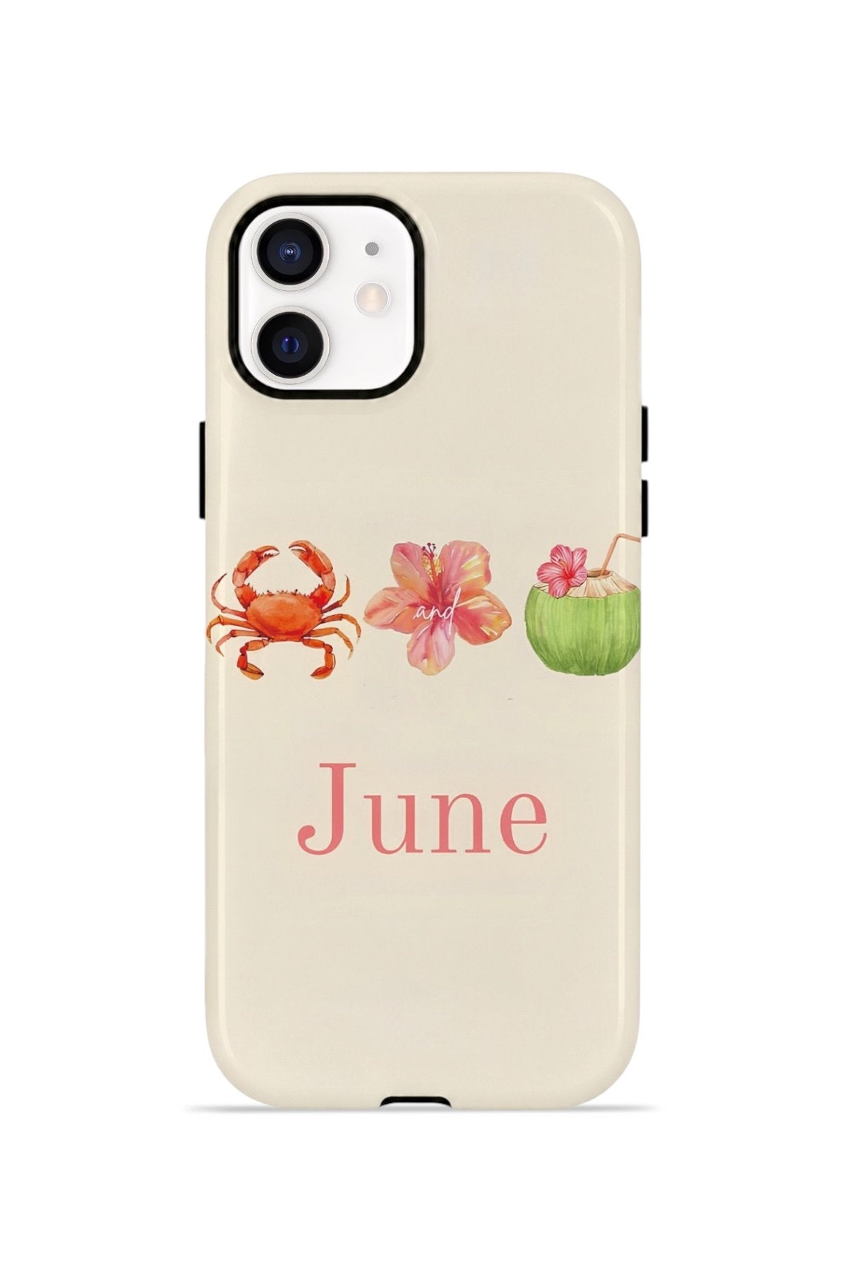 iPhone 12 Vorian Çift Katmanlı Kılıf June Seaside