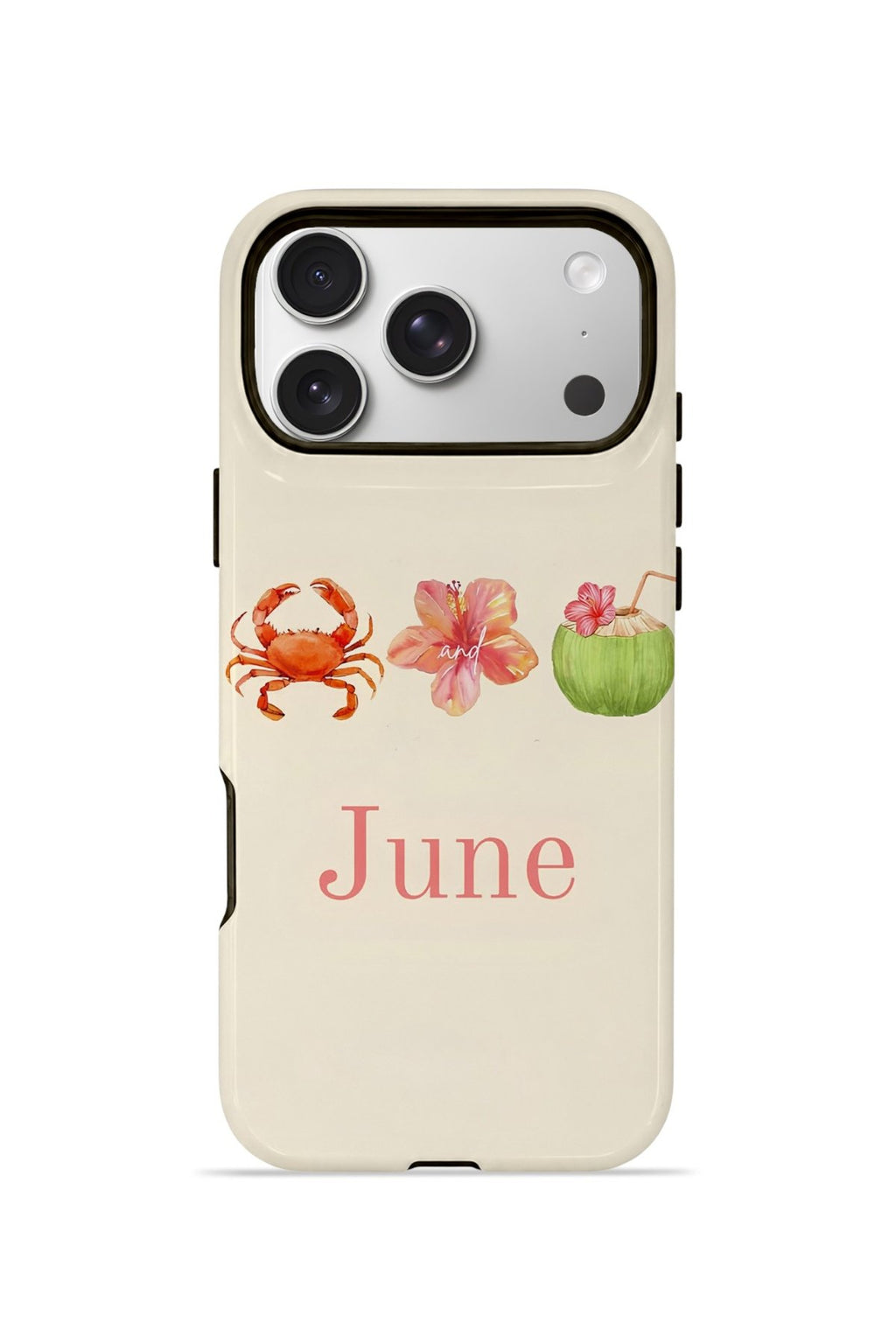 iPhone 17 Pro Vorian Çift Katmanlı Kılıf June Seaside