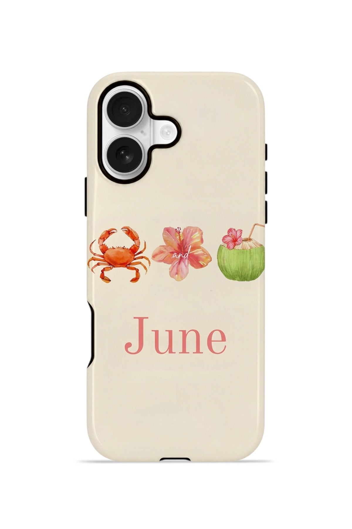 iPhone 17 Vorian Çift Katmanlı MagSafe Kılıf June Seaside