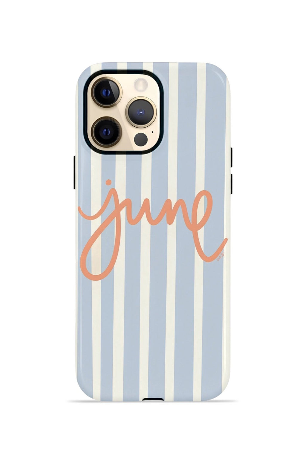 iPhone 12 Pro Vorian Çift Katmanlı Kılıf June Riviera