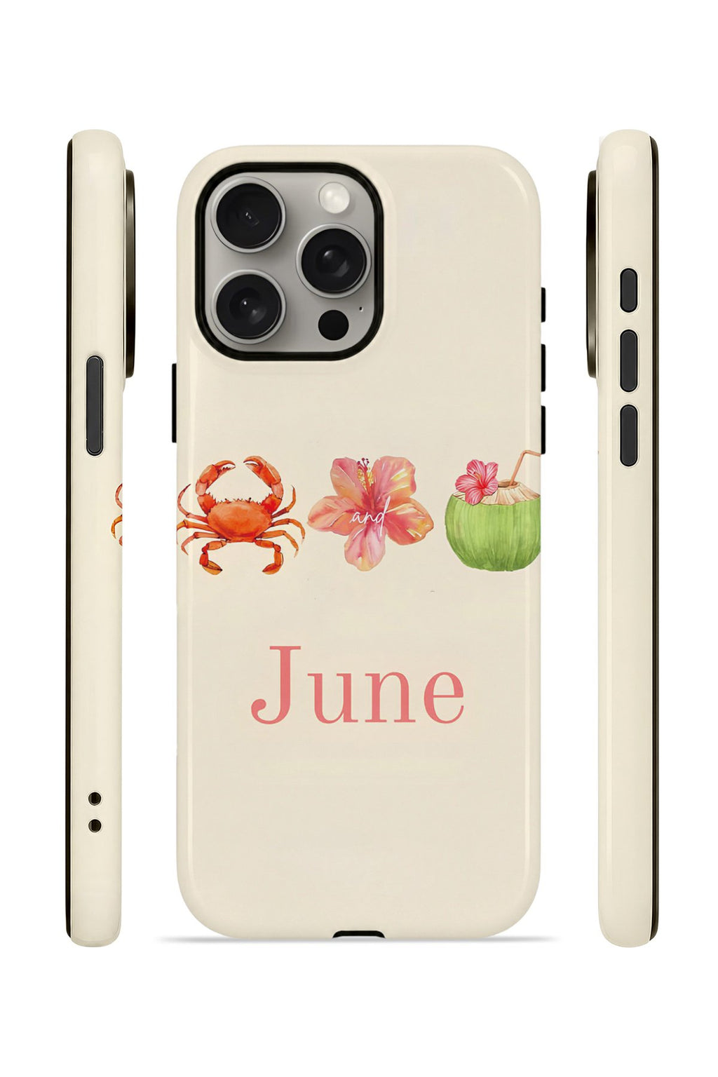 iPhone 15 Pro Max Vorian Çift Katmanlı Kılıf June Seaside