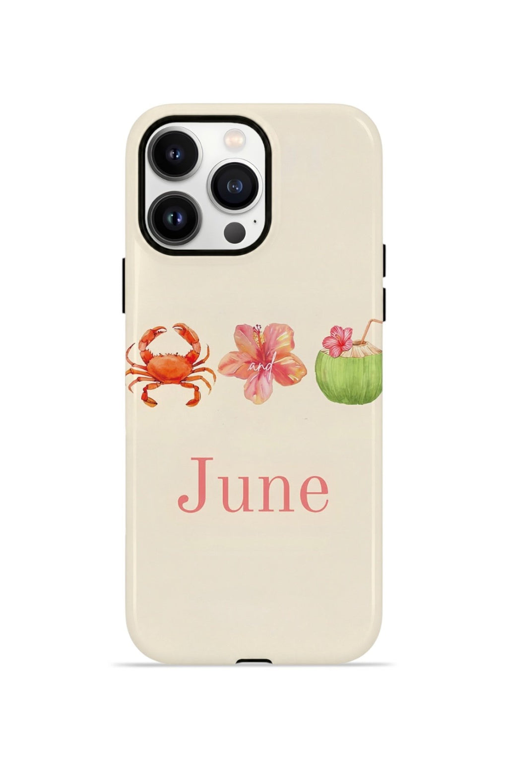 iPhone 14 Pro Max Vorian Çift Katmanlı MagSafe Kılıf June Seaside